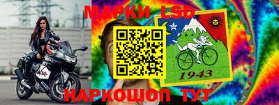 шишки Тулун