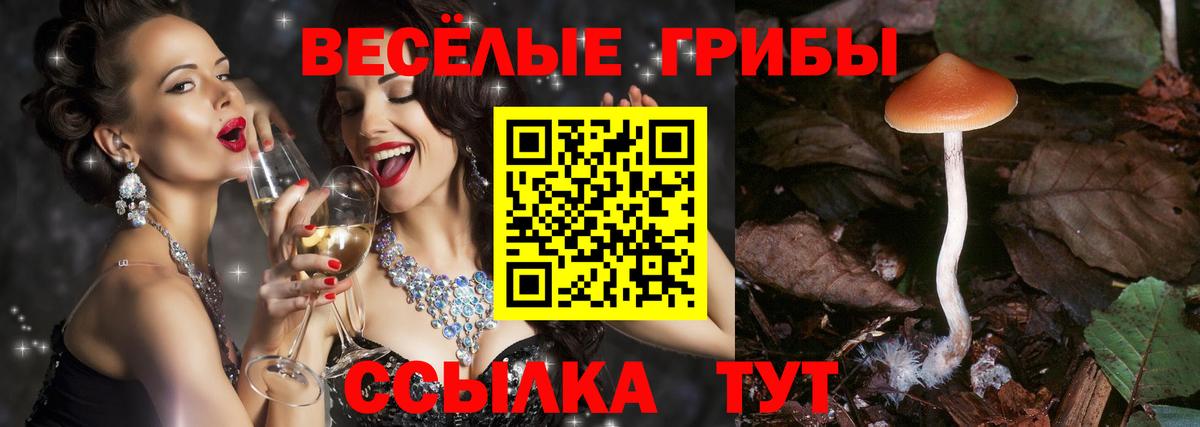 Галлюциногенные грибы мухоморы  Псилоцибиновые грибы GOLDEN TEACHER  Вход с VPN  Мариинск 